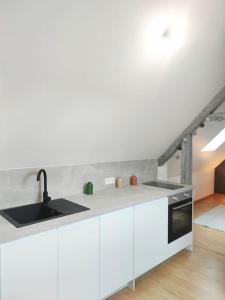 Appartements Da Vinci - Studio Charmant : photos des chambres