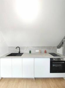 Appartements Da Vinci - Studio Charmant : photos des chambres
