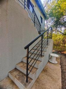 Giraffe Studio @ Kruger