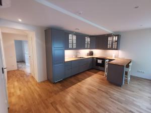 Vytauto 421 Apartments by JK