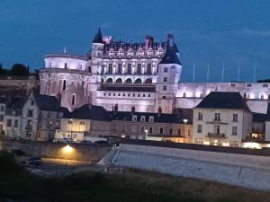 Appartements Immeuble prive au coeur d'Amboise : photos des chambres