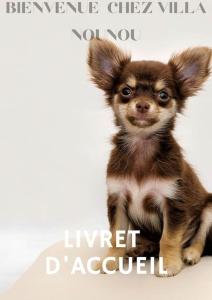 Villas VILLA NOUNOU : Villa