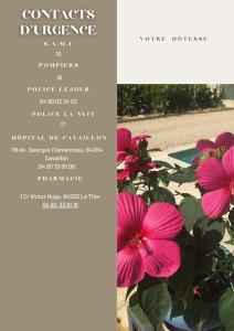 Villas VILLA NOUNOU : photos des chambres