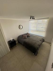 Departamento Coquimbo - La Serena