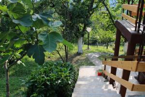 Marley kuca za odmor