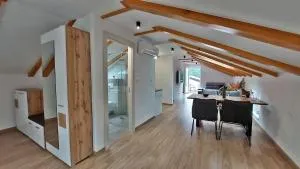 Vinodol Apartments 1 and 2 - Drivenik