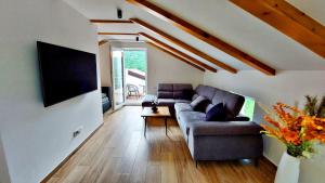 Vinodol Apartments 1 and 2