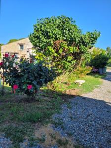 Appartement récemment rénové