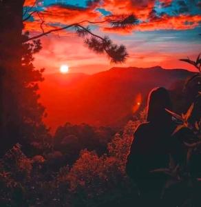 Bel View Guest House - 3hvězdičkové hotely ve městě Haputale