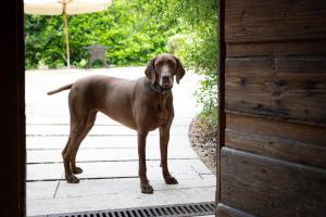 B&B Corte Jago