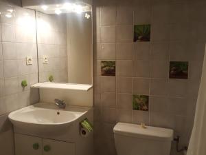 Appartements Studio a Brides-les-Bains, 4 pers, balcon, parking couvert, proche centre et thermes - FR-1-512-272 : photos des chambres