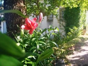 B&B / Chambres d'hotes Guestroom Aydoilles, 1 piece, 2 personnes - FR-1-589-499 : photos des chambres