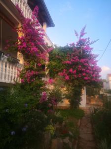 Apartment Ana 
