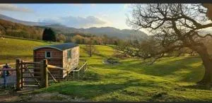 Shepherds hut Lowri - Llanfachreth