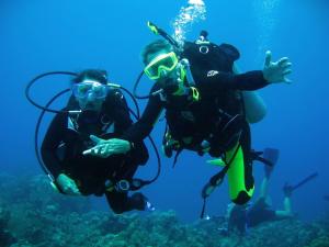 Tropical Daze Oceanfront Paradise