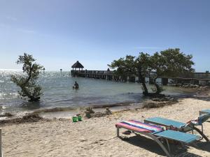 Tropical Daze Oceanfront Paradise