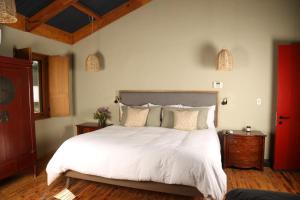 Alma Liebre Viñedos del Valle