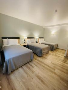 Diego de Almagro Providencia Express