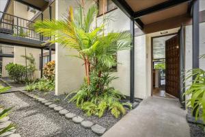 Beautiful 22 condo in Kailua Kona. Ocean View!
