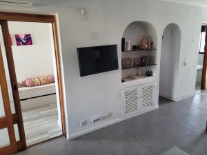 Apt-236