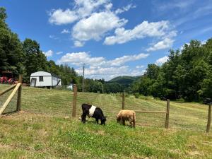 Growing Faith Farms & Retreat