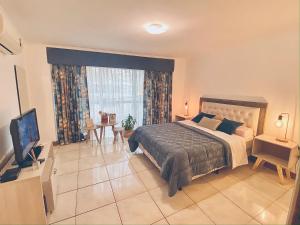 MENDOZA Suites 3 -Parking disponible opcional -