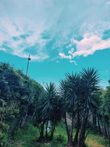 Garden Flat in Cannes