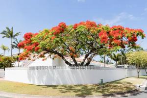 Poinciana House—Luxury Noosa Retreat close to Beach