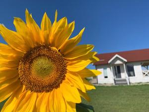 Giżycko-Przerwanki Domki Widok na Mazury