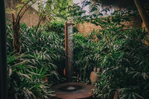 Balikayanas - Ellena House