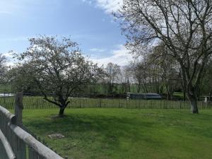 Maisons de vacances Maison au calme avec etang (Rennes-Dinan-St Malo) : photos des chambres