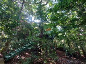 Jungle Living Tree Houses