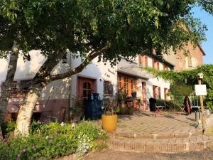 Appartements Les capucines la souris des champs : photos des chambres