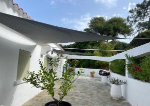 Maisons de vacances Villa Ancone : photos des chambres