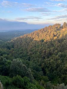 Cosy and Comfy Studio with Sea View