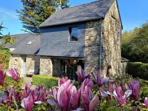 Maison 2 Graines - Plounéventer