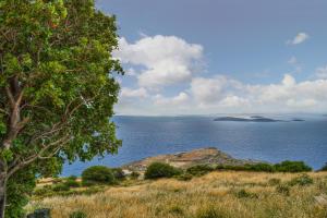 Althea Archontika Tis Androu Andros Greece