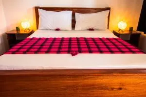 The Wishing Tree - 平圭