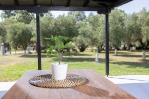 Casa Alelia Lagonisi