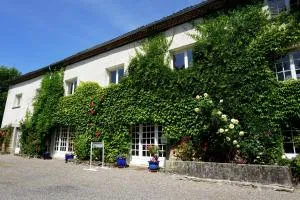 Les Neuf Bouleaux - Vertolaye