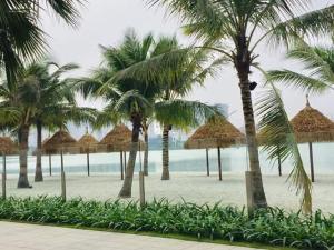 Bom Homes- Vinhomes Ocean Park- Studio Apt