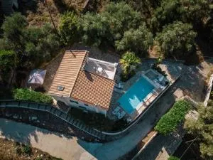 Villa Poseidon - 斯皮里登科夫