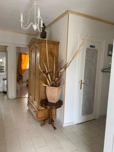 Appartements GITE des Orangers : photos des chambres