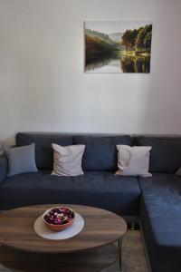 Apartment Dimitrije