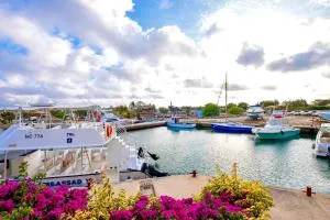 Het paradijs in Jan Thiel! - 简蒂埃尔