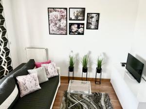 Apartament Studio Platan