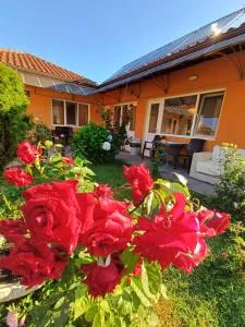 Dom Zaharievi - Yunets