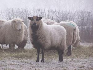 Cosy and quiet one bed barn conversion.