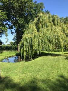 Maisons de vacances Charmant gite avec poele a bois : photos des chambres