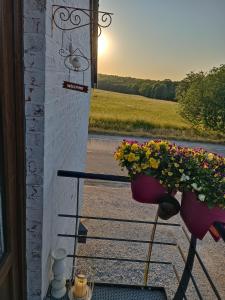 Gîte Ferme dhurtaux